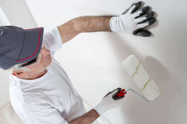 Best Real Estate Mold Inspection  in Altoona, WI