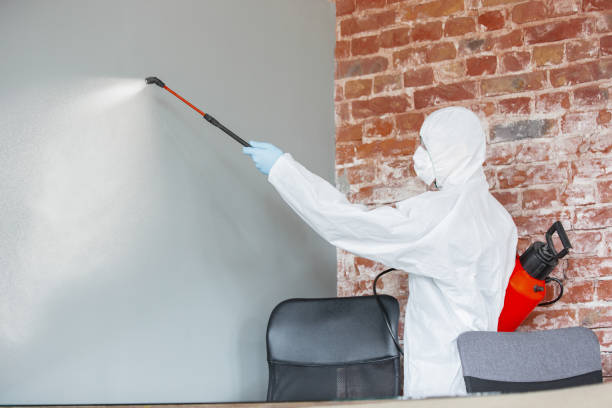 Best Mold Documentation for Insurance Claims  in Altoona, WI
