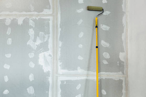 Best Mold-Related Health Consultation  in Altoona, WI
