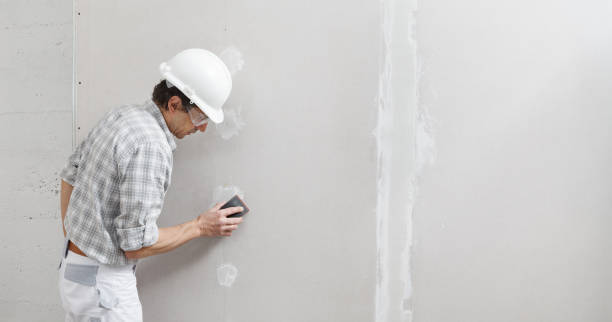 Best Air Quality Testing for Mold Spores  in Altoona, WI