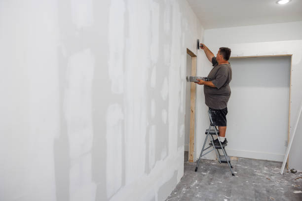 Best Crawl Space Mold Remediation  in Altoona, WI