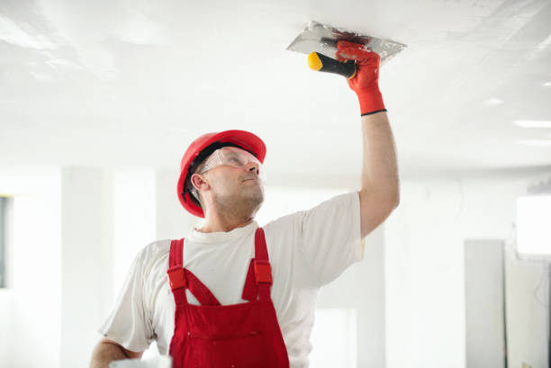 Best Post-Construction Mold Inspection  in Altoona, WI