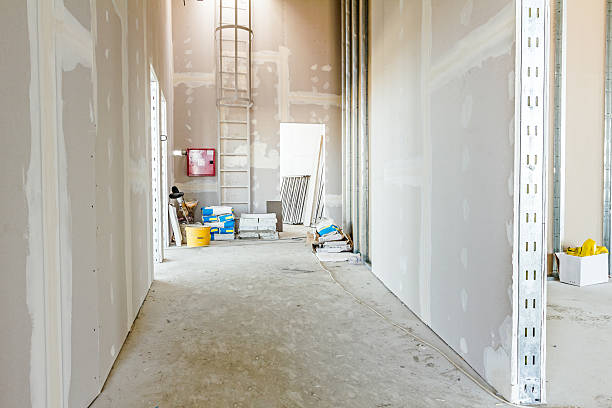 Best Asbestos and Lead Testing During Mold Inspection  in Altoona, WI