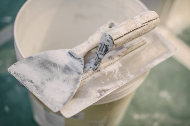 Best Emergency Mold Remediation  in Altoona, WI