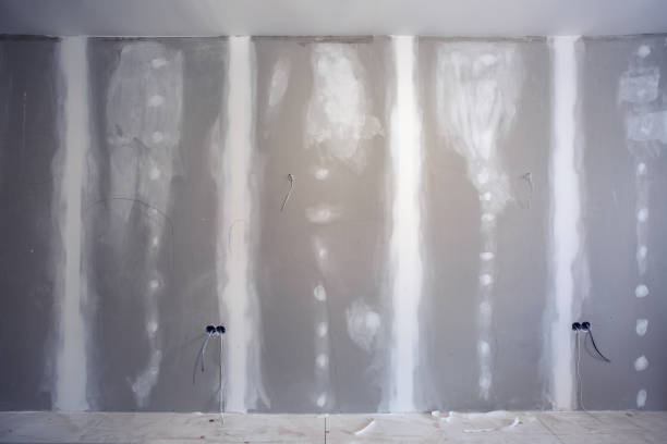 Professional Mold Removal in Altoona, WI